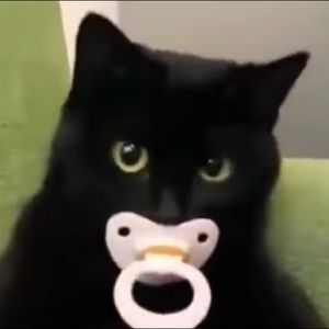 Meet your Posher, Catherine